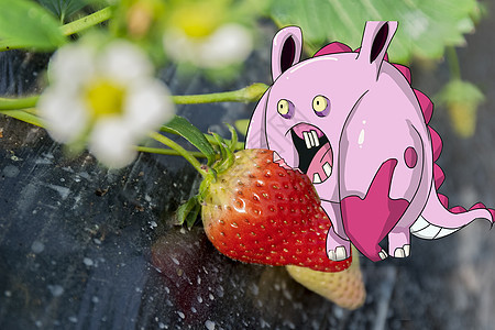 怪兽吃草莓创意摄影插画图片