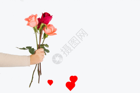 粉玫瑰花束送一束玫瑰花gif动图高清图片