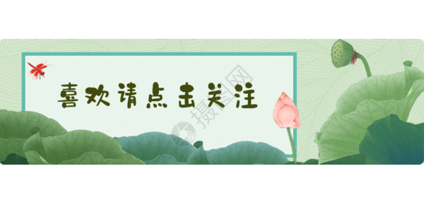 荷花动图 荷花gif图片 荷花动图图片下载 摄图网 荷花动图 荷花gif图片 荷花动图图片下载 摄图网