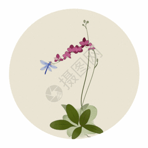 中国风花卉和蜻蜓gif图片素材