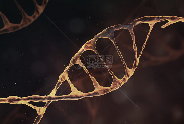 DNA基因链高清图库