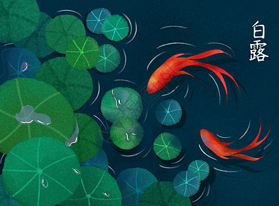 荷塘锦鲤白露节气插画图片
