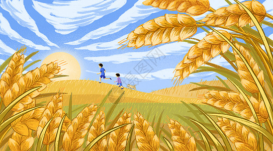 丰收 麦子 秋天背景图片