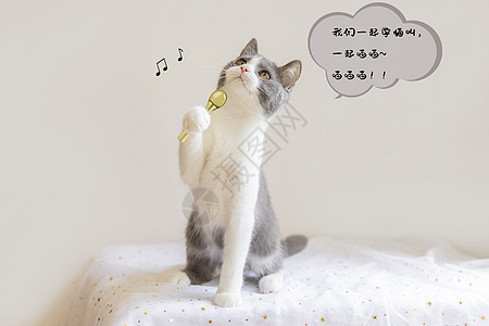 儿童节学猫叫妆容图片
