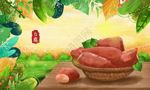 白露之红薯插画背景图片
