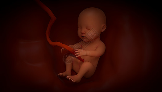 胎儿孕妇孕妈高清图片