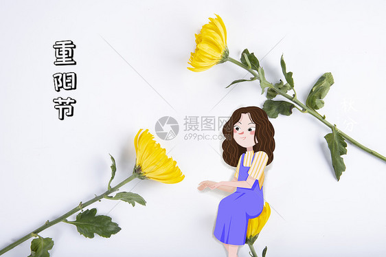 重阳节创意摄影插画图片