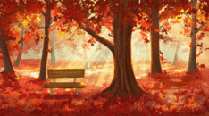 秋天的红叶林GIF图片