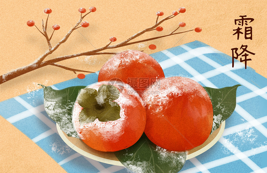 霜降柿子插画图片