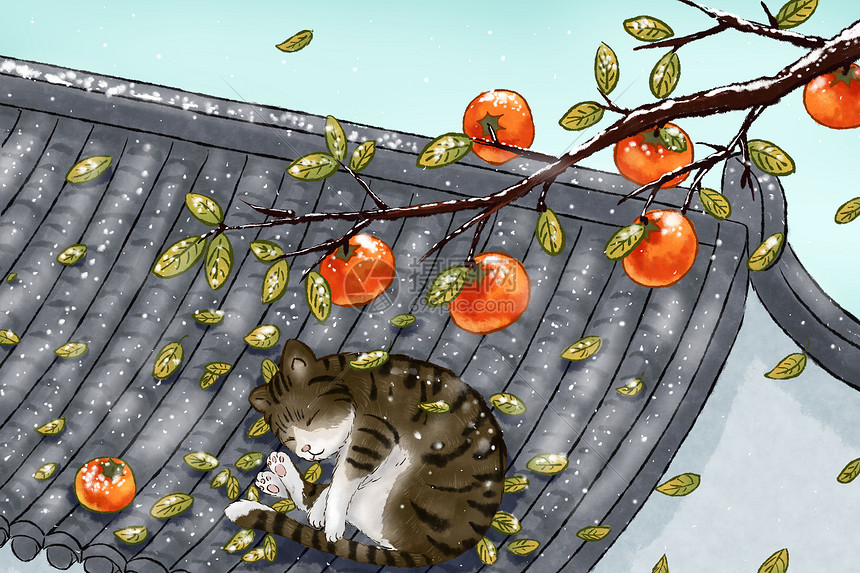 落霜的柿子树和屋顶的猫图片
