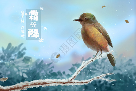 霜降站在枝头的鸟儿背景图片