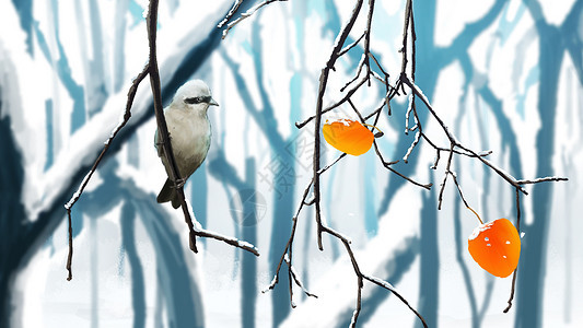 霜降冬天林中鸟图片