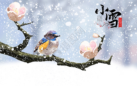 花鸟小雪设计图片