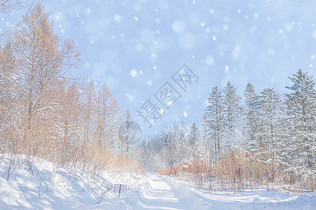 冬季背景图片