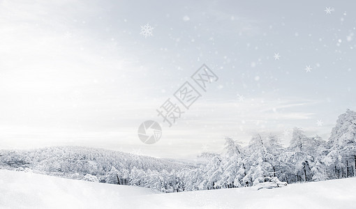 雪地漫步冬日背景设计图片