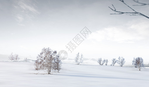 冬日雪地背景图片