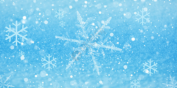 唯美梦幻雪花背景图片素材 正版创意图片 摄图网