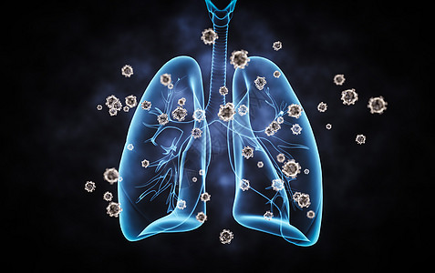 肺部感染肺部器官设计图片