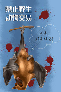 禁止野生动物交易蝙蝠背景图片