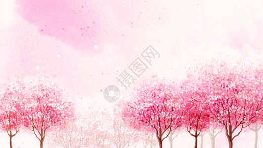 粉色碎花背景温馨樱花背景视频素材高清图片
