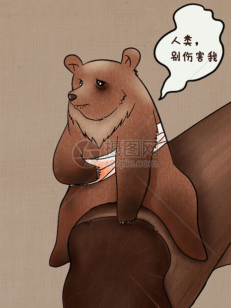 保护野生动物熊插画图片下载 正版图片 摄图网