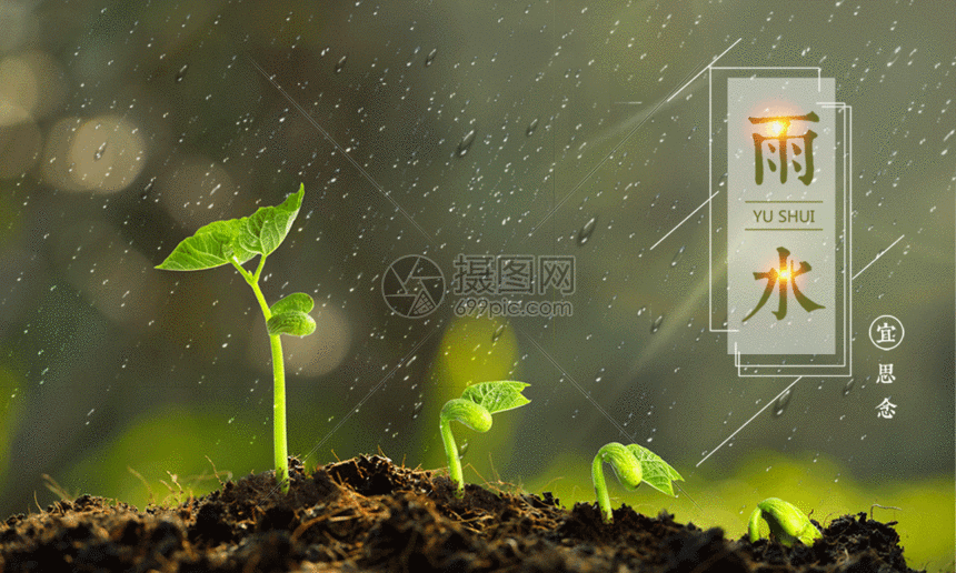 二十四节气雨水节气海报gif动图图片-正版gif素材401680726-摄图网
