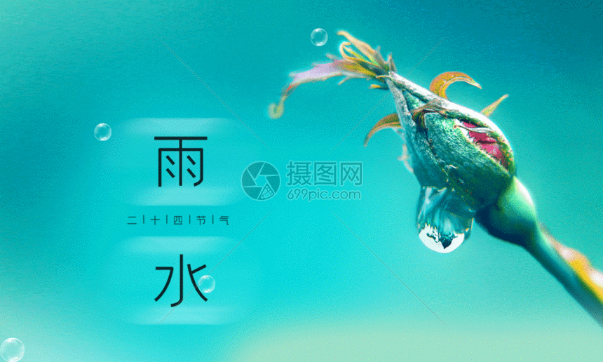24节气雨水海报gif动图图片-正版gif素材401680728-摄图网