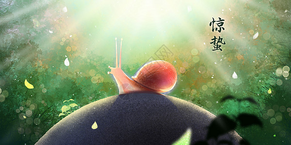 惊蛰节气阳光下的蜗牛图片
