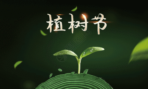 绿色简约312植树节公益海报gif图片