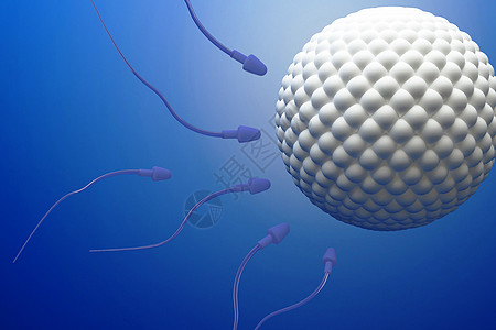 精子和卵子生命基因高清图片