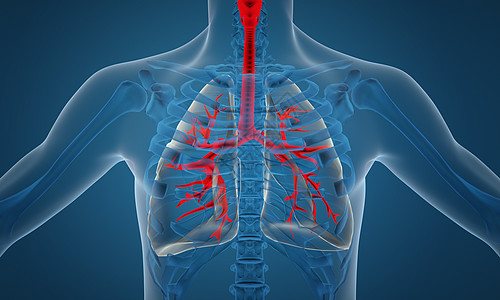 肺部X光片背景图片