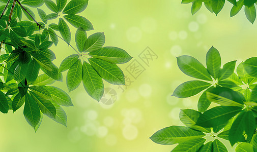 春背景创意 春背景合成 春背景设计图片下载 摄图网 春背景创意 春背景合成 春背景设计图片下载 摄图网