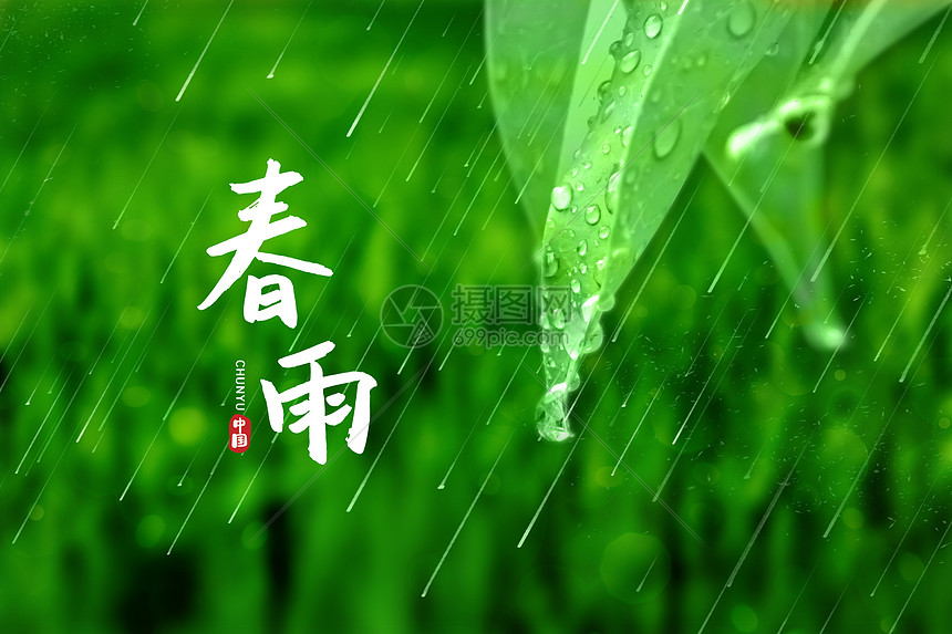 春雨图片