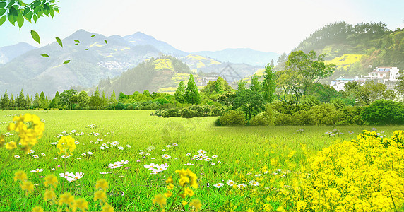 春天花卉草地背景背景图片
