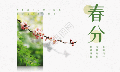 24节气清新风春分海报gif图片素材