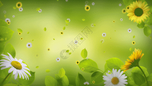 春天绿色小花背景GIF图片