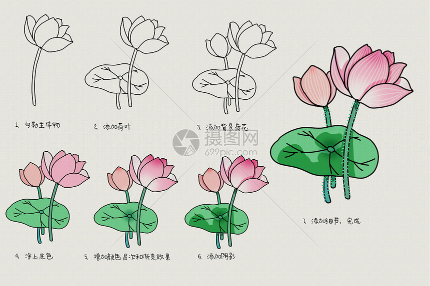 莲花的简笔画带颜色图片