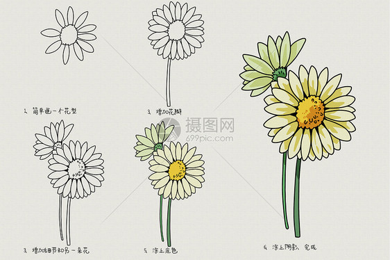 菊花简笔画教程图片