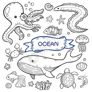 简笔画海洋动物填色插画图片