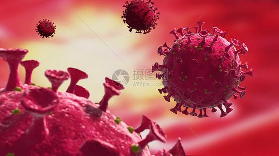 新冠病毒图片