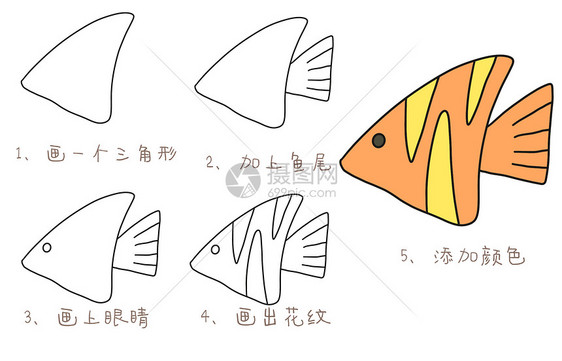热带鱼简笔画教程图片