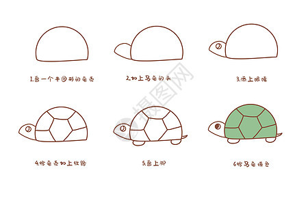 乌龟简笔画步骤背景图片