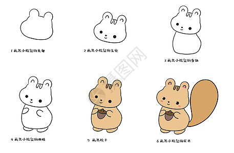 熊,动物小松鼠简笔画插画