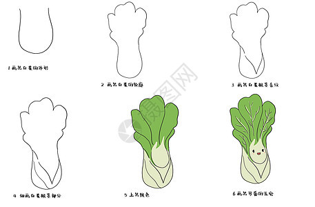 白菜简笔画背景图片