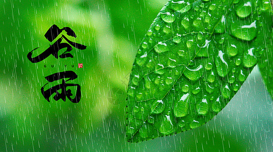 谷雨节气图片