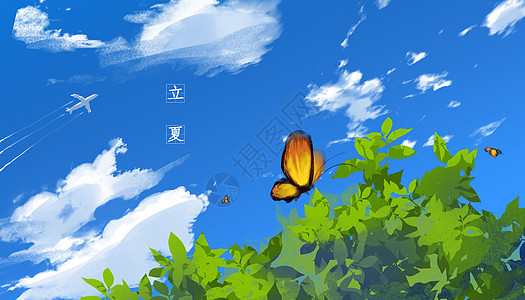 立夏的蝴蝶图片