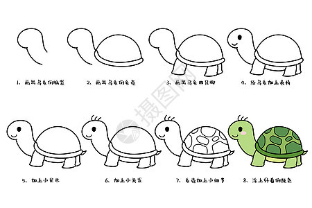 小乌龟简笔画教程图图片