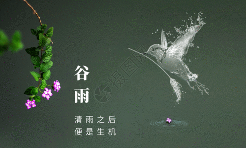 蜂鸟谷雨节气海报GIF高清图片