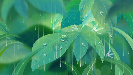 水珠叶子谷雨通用背景插画