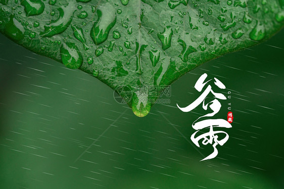 谷雨图片